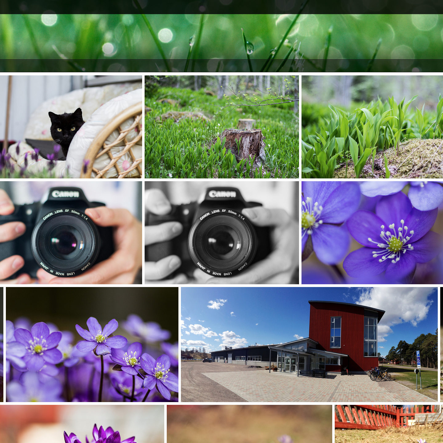 Nya Flickr